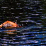 Lansersee * 인스브루크